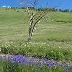 Bed & Breakfast Barba Bertu Frassino (Cuneo)