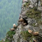 Bed & Breakfast Barba Bertu Отель типа 