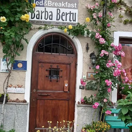 Barba Bertu 3*