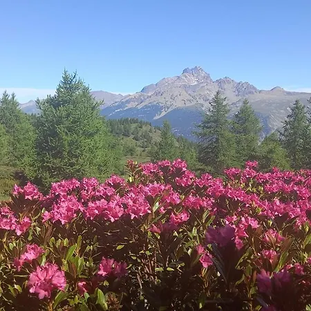 Couette-café Barba Bertu 3*