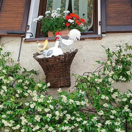 Frühstückspension Barba Bertu