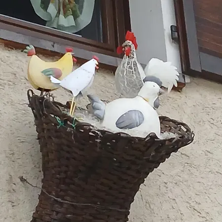 Nocleg ze śniadaniem Barba Bertu Frassino (Cuneo)