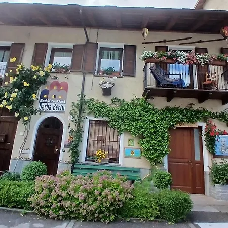 Barba Bertu 3*