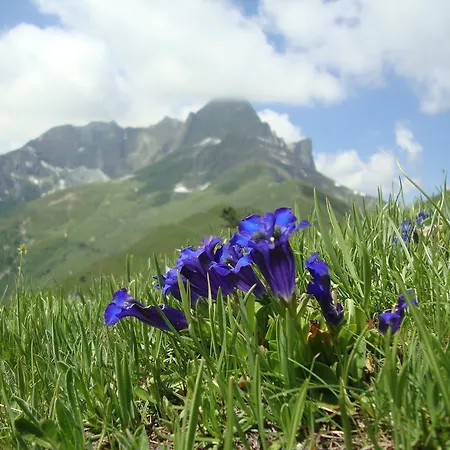 Couette-café Barba Bertu 3*