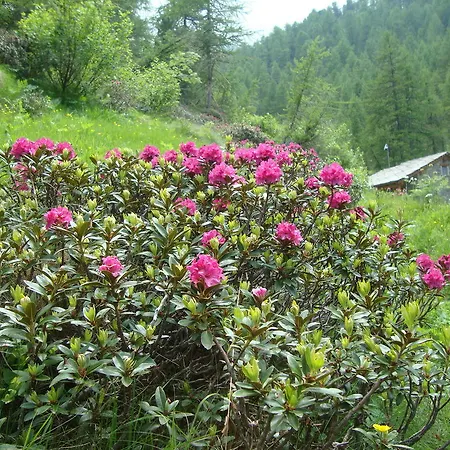 Frühstückspension Barba Bertu