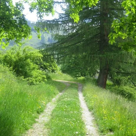 Barba Bertu