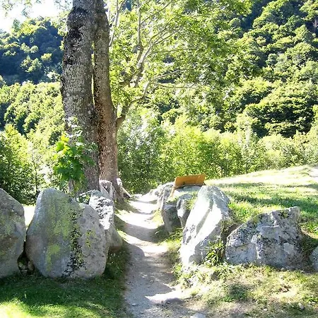 Frühstückspension Barba Bertu Frassino (Cuneo)