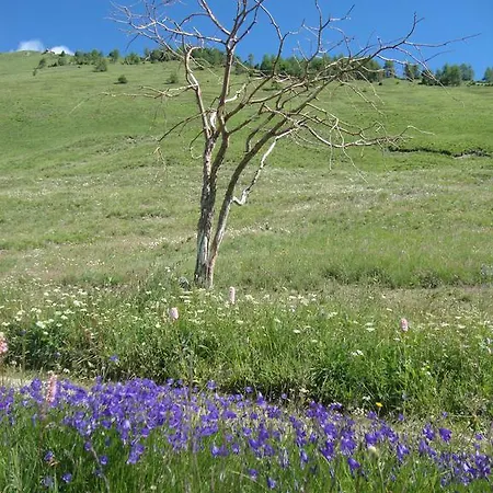 Barba Bertu Frassino (Cuneo)