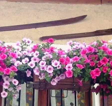 Barba Bertu Di 3* Frassino