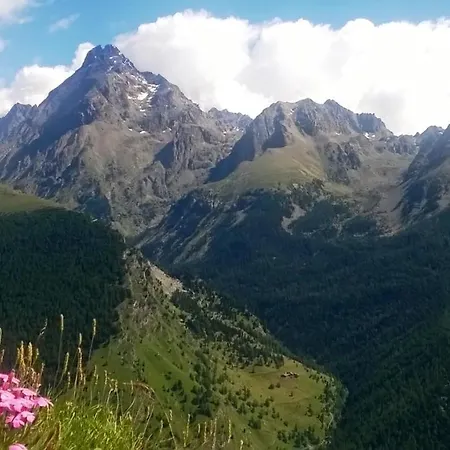 Barba Bertu Frassino (Cuneo)