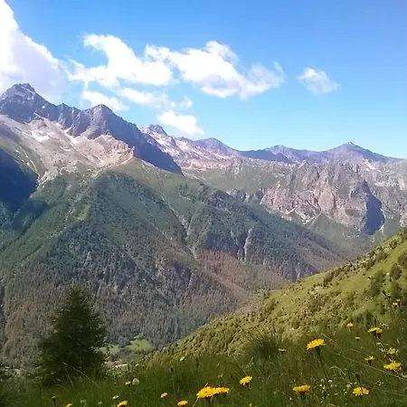 Barba Bertu 3*