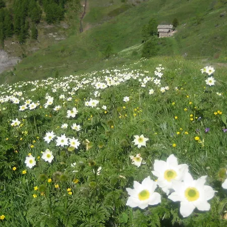 Frühstückspension Barba Bertu 3*