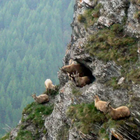 Barba Bertu Couette-café Frassino (Cuneo)