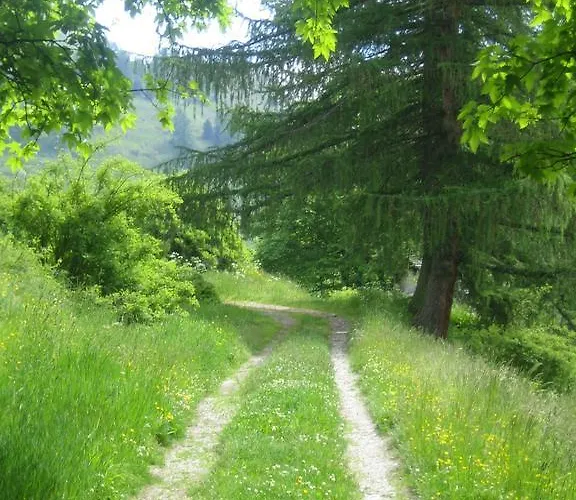 Barba Bertu