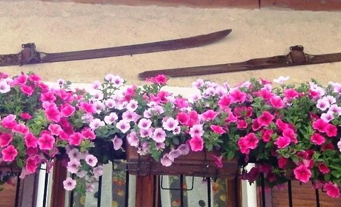 Barba Bertu 3* Frassino (Cuneo)