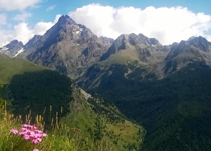 Barba Bertu Frassino (Cuneo)