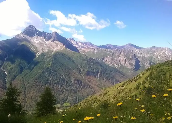 Barba Bertu 3*